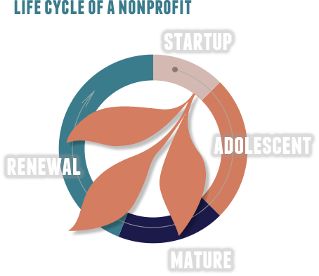 Nonprofit organizations have a defined life cycle, from the initial idea to growth and mature stability. At some point in that life cycle, a crisis may occur - loss of income, departure of key staff, industry changes – which may lead the organization to either review and renew or to dissolve. It is at those pivotal times when a nonprofit may reach out for help.